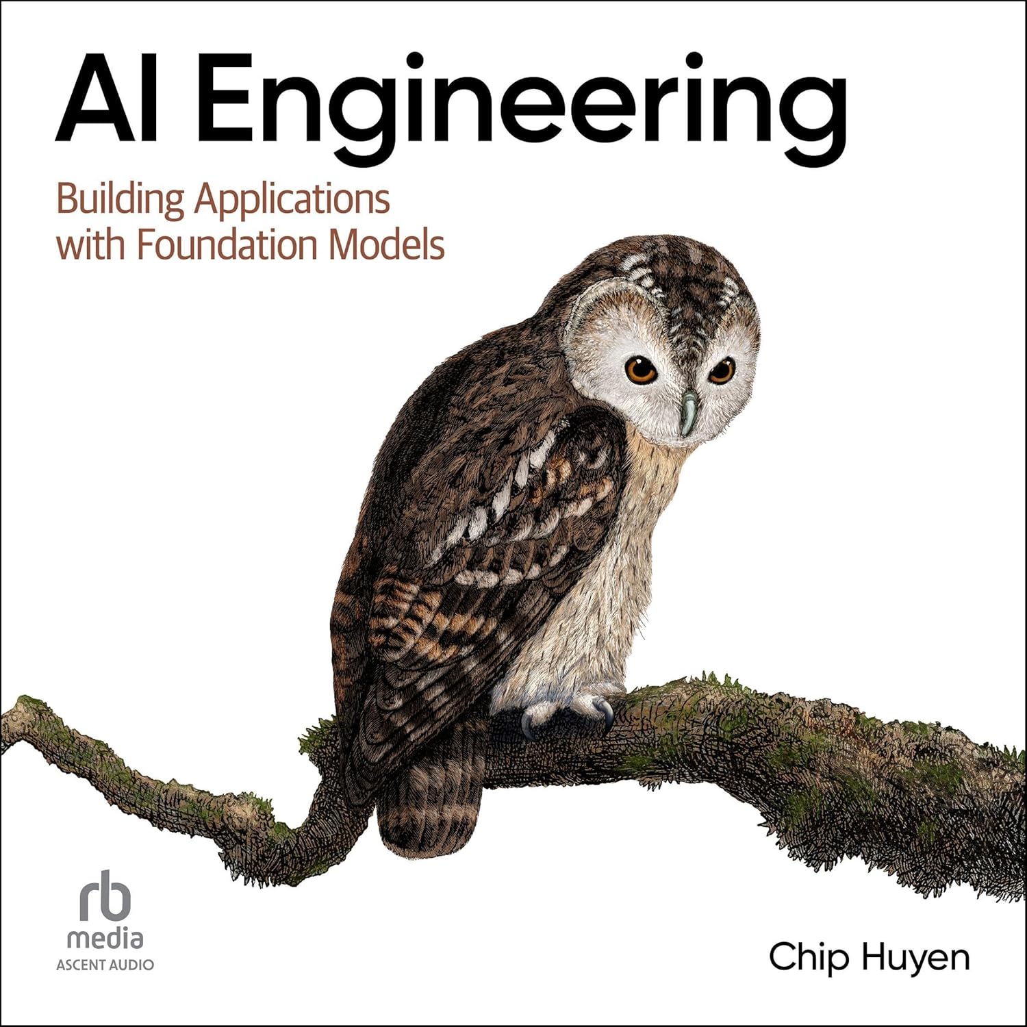 AI Engineering: Building Applications with Foundation Models 1st Edition