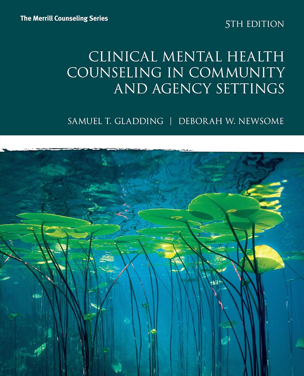 Clinical Mental Health Counseling in Community and Agency Settings 5th Edition