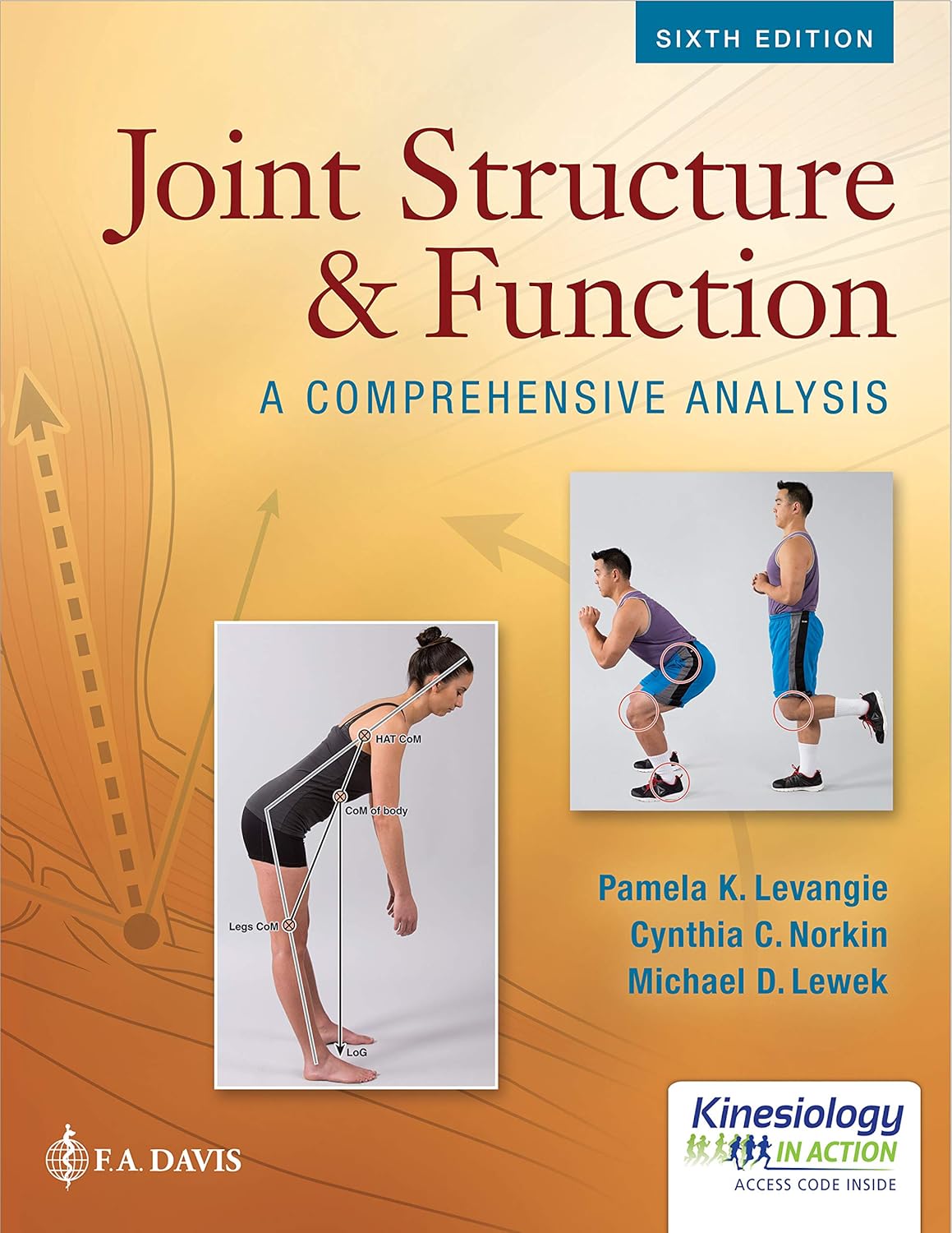 Joint Structure and Function: A Comprehensive Analysis Sixth Edition