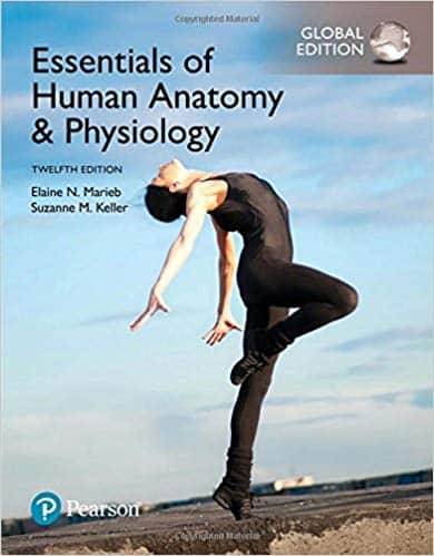 Essentials of Human Anatomy & Physiology (12th Global Edition)